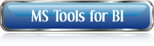 MS Tools For Business Intelligence